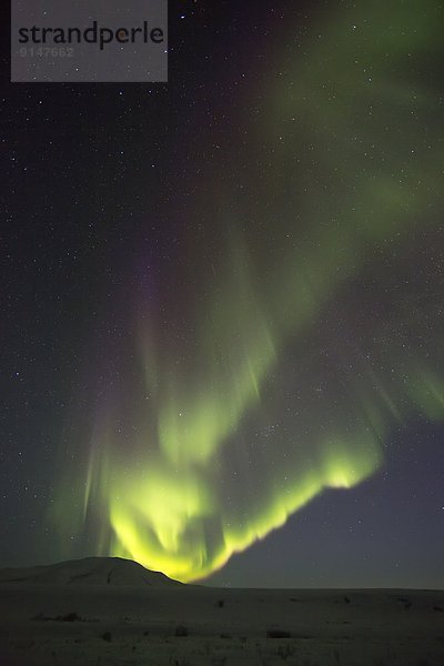 Dunkelheit  Nacht  Himmel  tanzen  Polarlicht  Aurora  Yukon