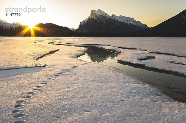 Winter  bedecken  Spiegelung  See  Eis  Alberta  Banff  Kanada  Schnee