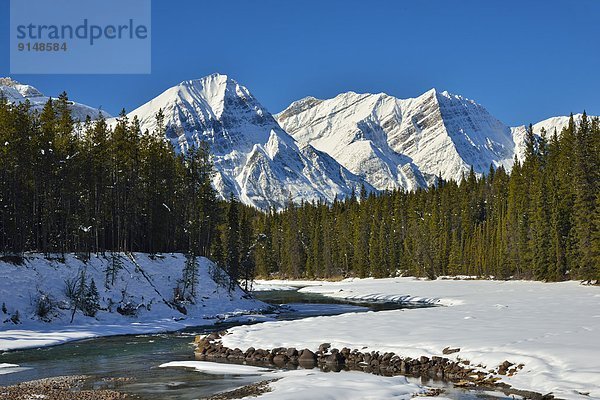 Berg  Fotografie  Felsen  Schneedecke  Querformat  Fluss  vorwärts  Athabasca River  Jasper Nationalpark  Alberta  Kanada