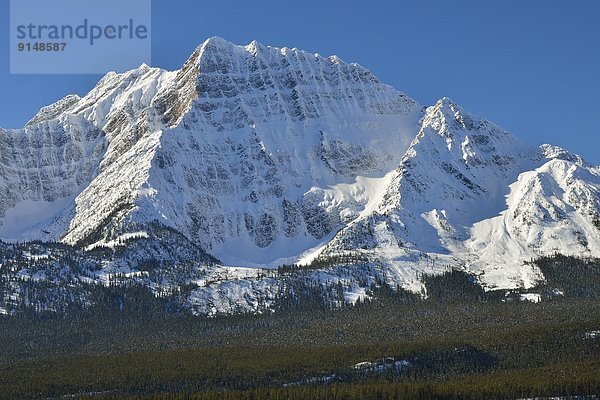 Landschaftlich schön  landschaftlich reizvoll  Berg  Winter  Felsen  bedecken  Jasper Nationalpark  kanadisch  Schnee