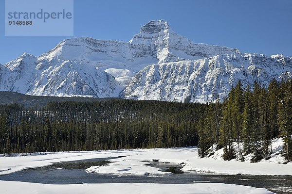 Berg  Winter  Fotografie  Felsen  Schneedecke  Fluss  vorwärts  Athabasca River  Jasper Nationalpark  Alberta  Kanada
