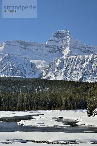 Hochformat  Berg  Winter  Fotografie  Felsen  Schneedecke  Fluss  vorwärts  Athabasca River  Jasper Nationalpark  Alberta  Kanada