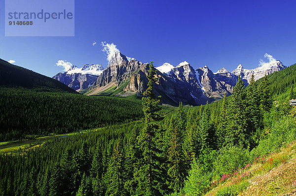 Banff Nationalpark  Alberta  Kanada