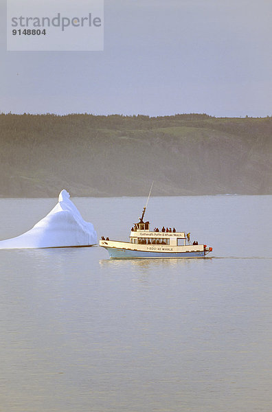 Eisberg sehen Tagesausflug Boot Neufundland Kanada Wal