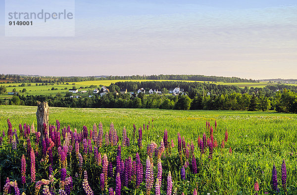 Kanada  Prince Edward Island