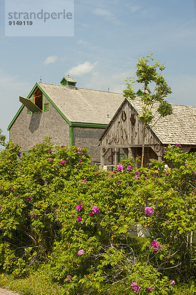 Dachgiebel  Giebel  grün  Dorf  Scheune  Kanada  Prince Edward Island