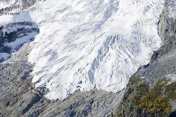 Purcell Mountains  British Columbia