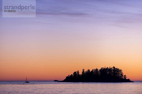 Strand  frontal  Insel  Tofino  British Columbia  British Columbia  Kanada