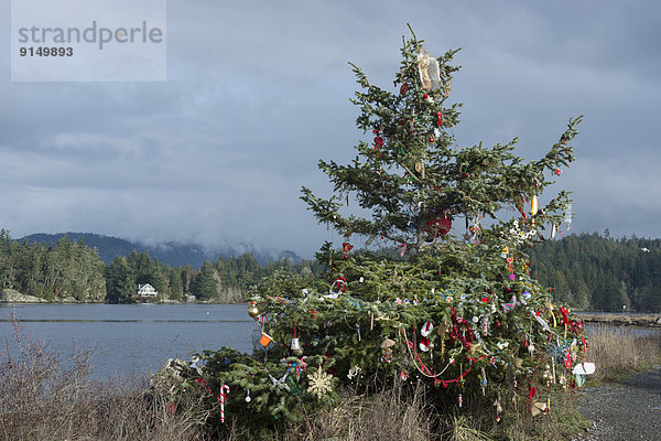 Anschnitt Strand Weihnachtsbaum Tannenbaum Dekoration Gemeinschaft British Columbia Kanada Quimper