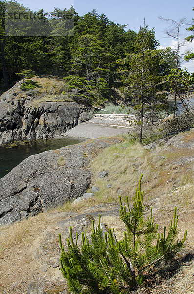 Insel Sydney British Columbia Kanada