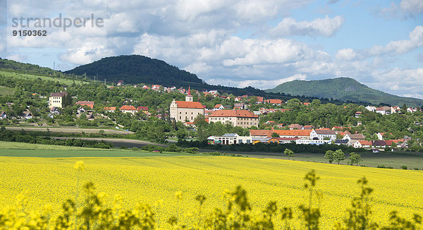 Stadt Feld Tschechische Republik Tschechien Böhmen Canola