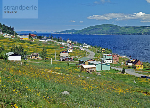 Neufundland Cape Bonavista Kanada