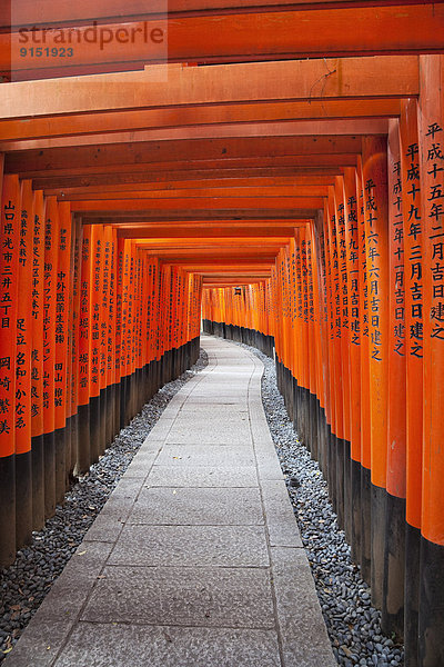 Sake  hinter  hoch  oben  Berg  folgen  Gebäude  Wahrzeichen  Reis  Reiskorn  Netzwerk  Eingang  breitbeinig  Gott  Japan  Kyoto  Schrein