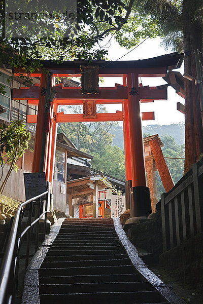 Sake  hinter  hoch  oben  Berg  folgen  Gebäude  Wahrzeichen  Reis  Reiskorn  Netzwerk  Eingang  breitbeinig  Gott  Japan  Kyoto  Schrein