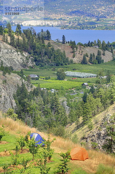 Anschnitt See Hintergrund Zelt Fokus auf den Vordergrund Fokus auf dem Vordergrund Ansicht 2 Welpe British Columbia Kanada