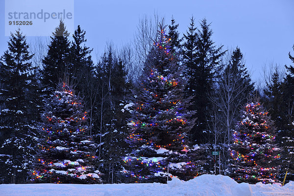 Urlaub  Nacht  Beleuchtung  Licht  Weihnachten  Außenaufnahme  Kanada  Ontario