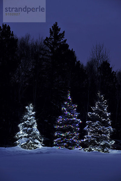 Urlaub  Nacht  Beleuchtung  Licht  Weihnachten  Außenaufnahme  Kanada  Ontario