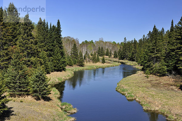 Bach Kanada auftauchen Laub Ontario