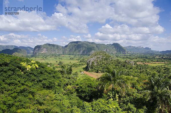 Landschaft  Viñales  Kuba