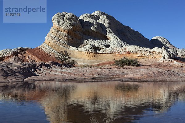 Vereinigte Staaten von Amerika  USA  Steilküste  Landschaftlich schön  landschaftlich reizvoll  weiß  Spiegelung  Arizona  Schlucht  Sandstein  Tarn