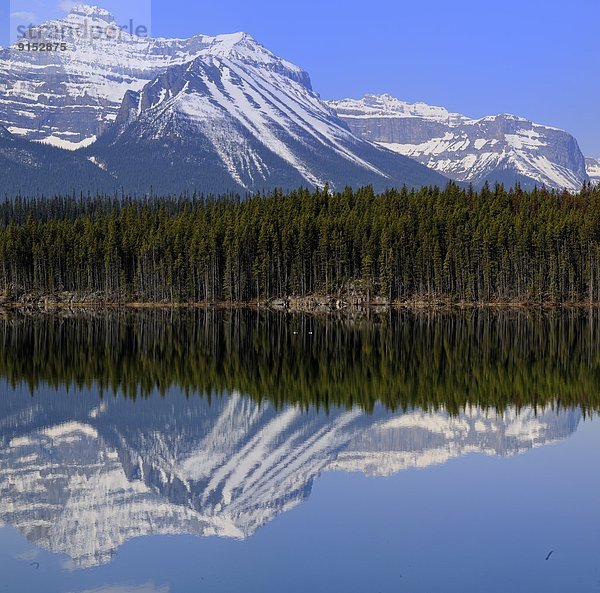 See Spiegelung Unterricht Alberta Kanada