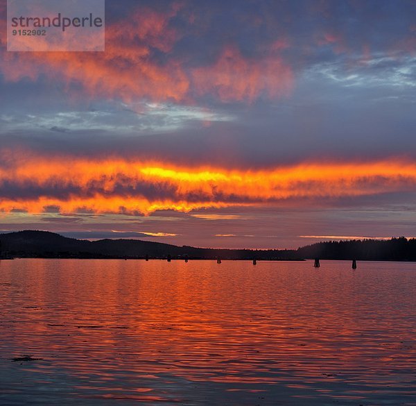 Port McNeill  British Columbia  Kanada