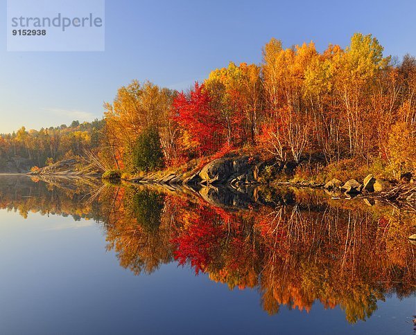 Morgen  Spiegelung  See  Nebel  Herbst  Greater Sudbury  Kanada  Ontario  Reflections