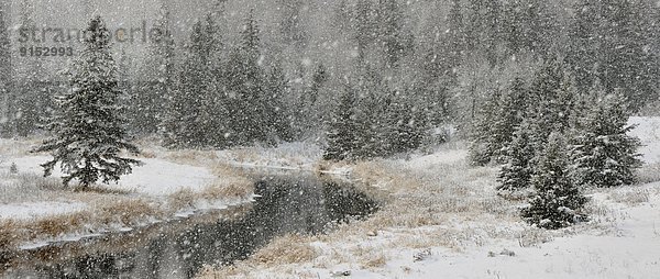 Winter Schneeflocke früh Bach Kanada Ontario