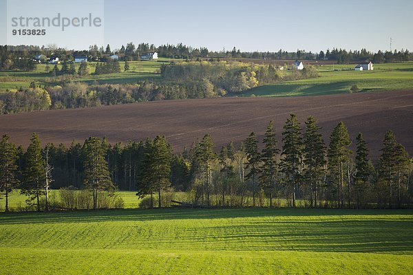 Fernverkehrsstraße  Ansicht  Kanada  Glasgow  neu  Prince Edward Island