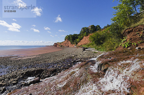 Steilküste  Gezeiten  Ländliches Motiv  ländliche Motive  Konstante  Sedimentgestein  Bucht  Erosion  Nova Scotia  Neuschottland