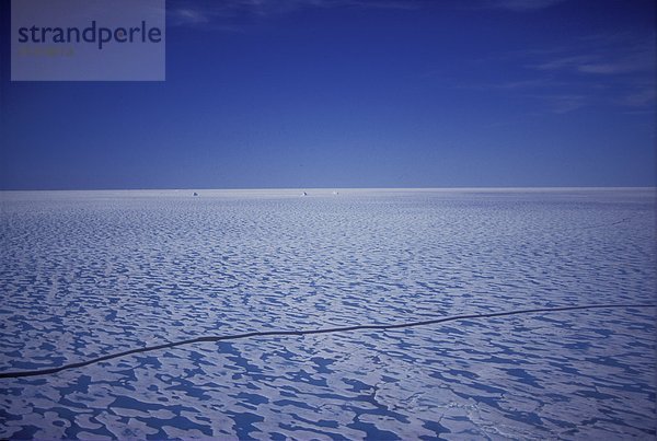 führen  Meer  Eis  lang  langes  langer  lange  Blei  Nunavut