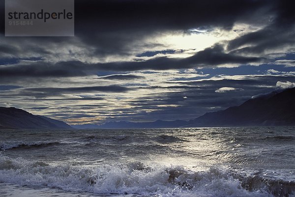 Ellesmere Island  Quttinirpaaq National Park  Nunavut