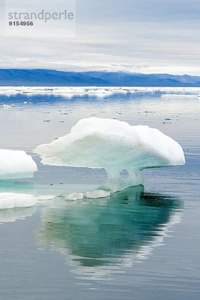 Wrangel Island  Arctic Russia