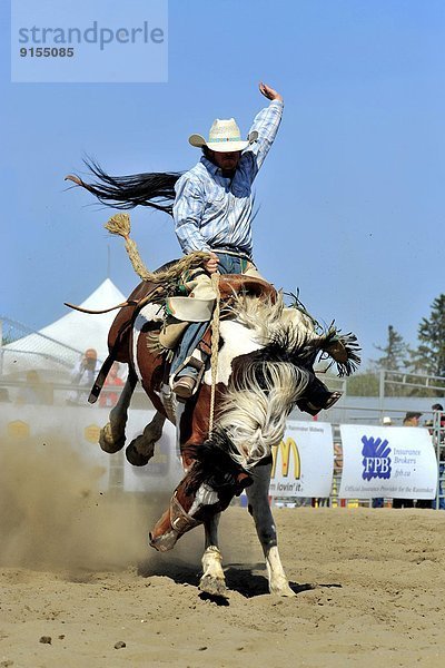 Fest  festlich  Reitsattel  Sattel  reiten - Pferd  Außenaufnahme  Stadion  bockend  Rodeo  Alberta  Kanada  Cowboy