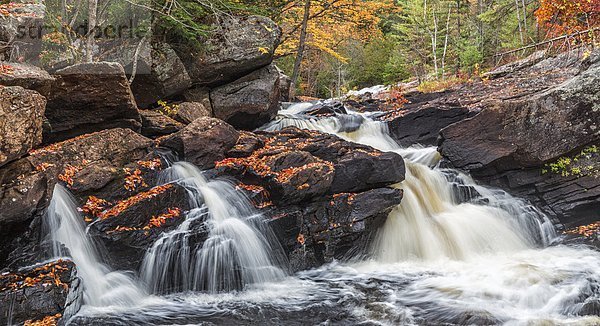 Felsbrocken folgen Mantel fließen Fluss Herbst vorwärts Algonquin Provincial Park Ontario