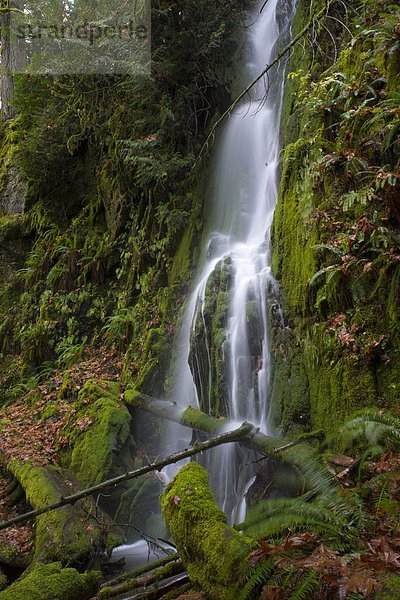 Wasserfall  Ländliches Motiv  ländliche Motive  Goldstream  British Columbia