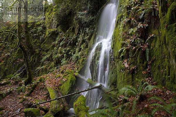 Wasserfall  Ländliches Motiv  ländliche Motive  Goldstream  British Columbia