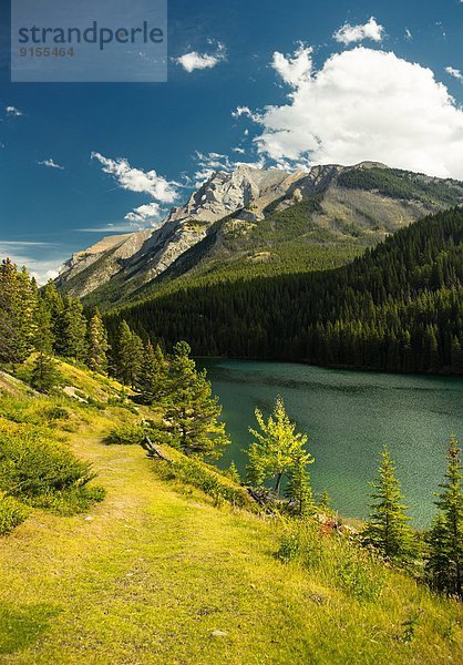 Banff Nationalpark  Alberta  Kanada