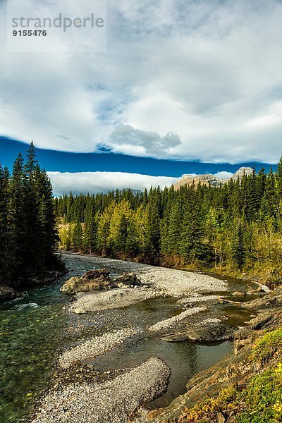 Kananaskis Country  Alberta  Kanada