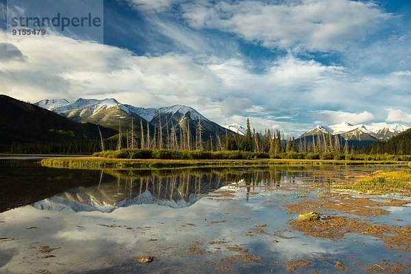 Banff Nationalpark  Alberta  Kanada