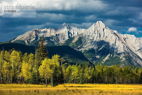 Alberta  Kanada