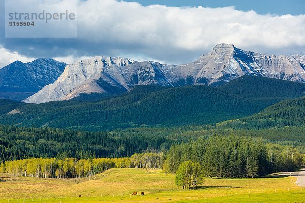 Alberta  Kanada