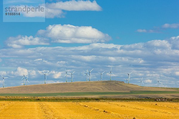 Windturbine Windrad Windräder Vorgebirge Alberta Kanada