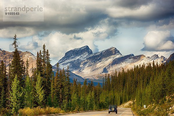 Banff Nationalpark  Columbia-Eisfeld  Columbia Icefield  Alberta  Kanada