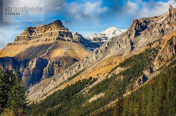 Banff Nationalpark  Columbia-Eisfeld  Columbia Icefield  Alberta