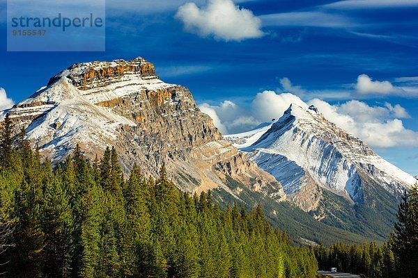 Banff Nationalpark  Columbia-Eisfeld  Columbia Icefield  Alberta