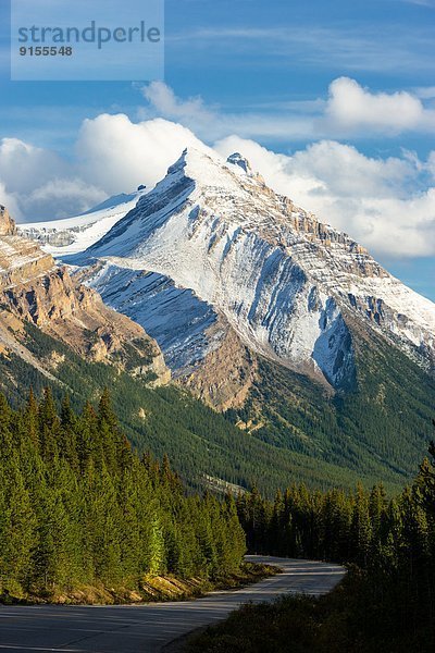 Banff Nationalpark  Columbia-Eisfeld  Columbia Icefield  Alberta  Kanada