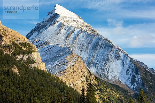 Banff Nationalpark  Columbia-Eisfeld  Columbia Icefield  Alberta  Kanada