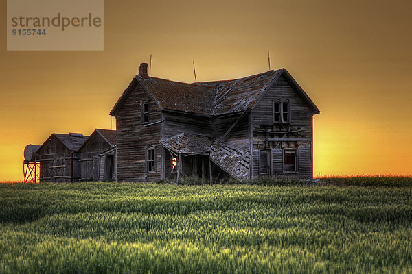 Weizenfeld  Saskatchewan  Gravelbourg  Saskatchewan