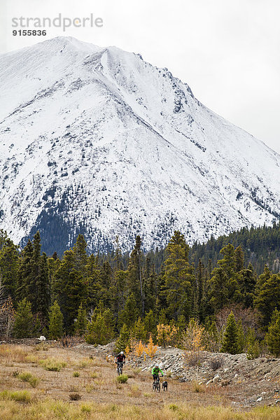 Berg  fahren  Überraschung  2  Carcross  Yukon  Weg  Yukon